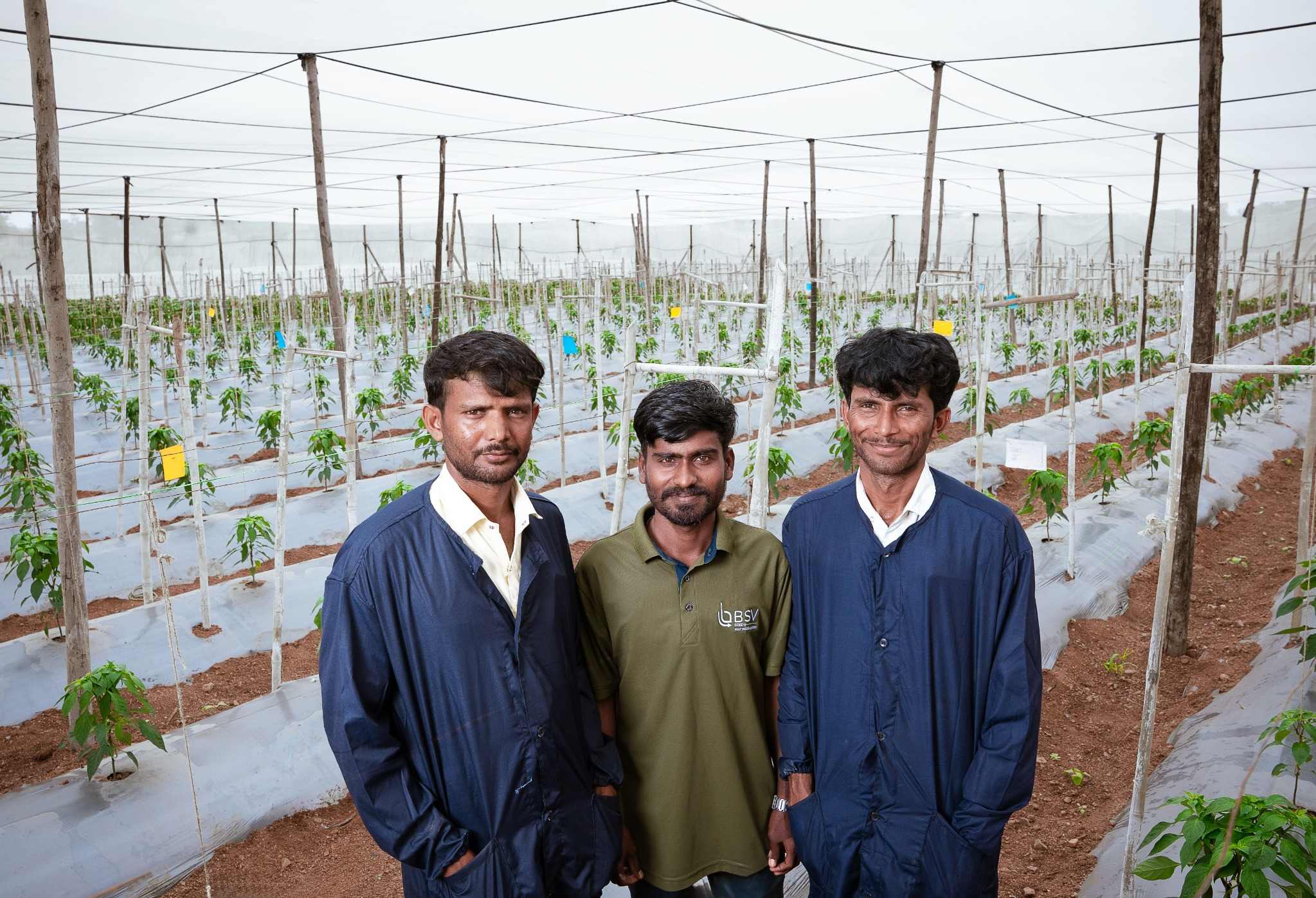 BSV Seeds team at greenhouse facility - Dedicated professionals