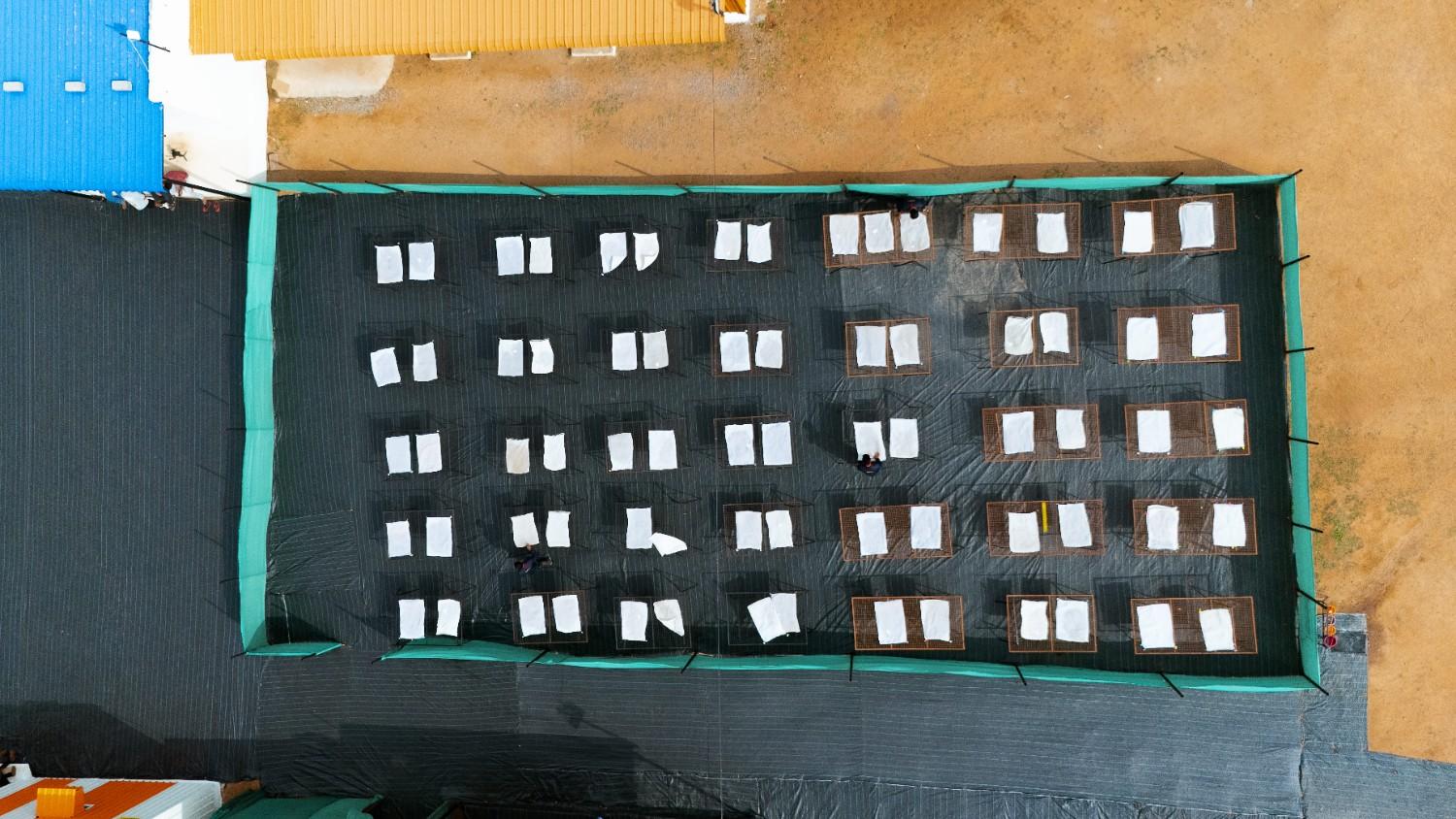 Aerial view of seed drying facility - Processing excellence