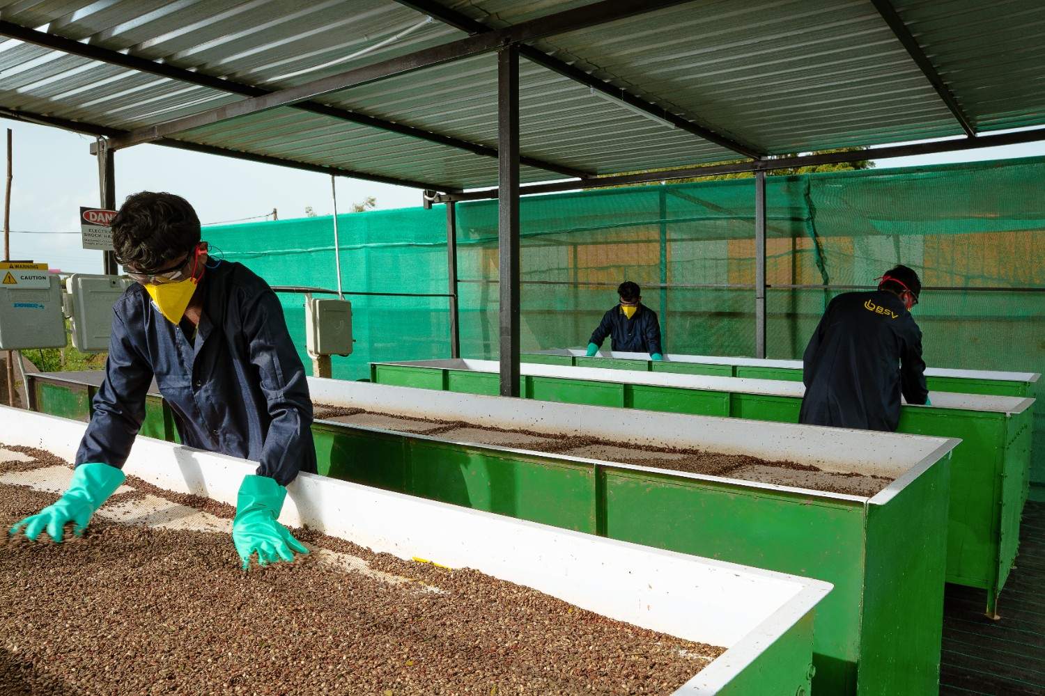 Seed processing facility - Quality control and sorting